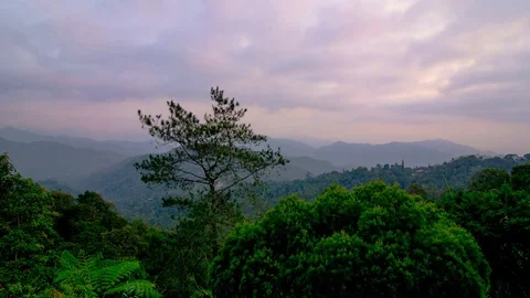 Timelapse fraser Stock Footage 117244789