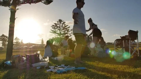 Timelapse - Friends BBQ Stock Footage 81311499