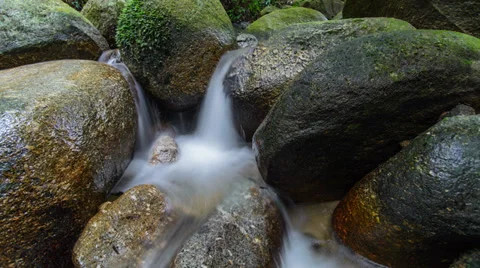 Timelapse FRIM Level 2 Waterfall Loopable 스톡 동영상 33733482
