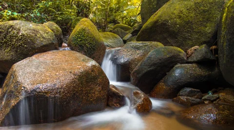 Timelapse FRIM Waterfall Level 2 Zoomed Out Video stock 33733360