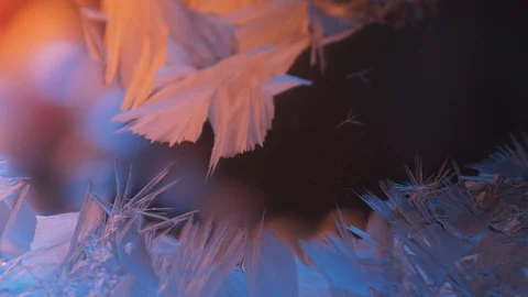 Timelapse of frost window with ice pattern Stock Footage 119749754