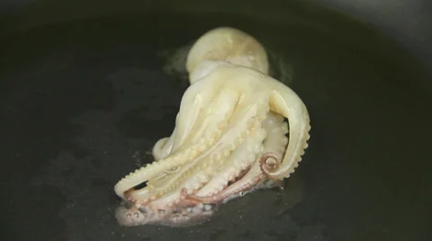 Timelapse Frying Octopus Contracting In Pan Stock Footage 37872693