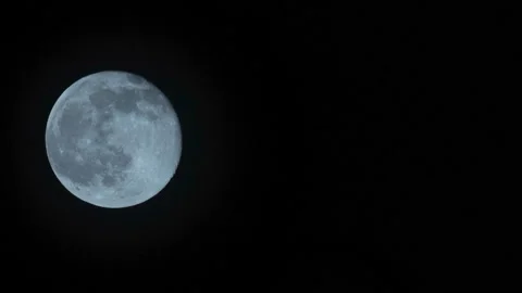 Timelapse of the full moon alone crossing the black sky. Blue moon Video stock 160470009