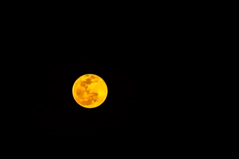 Timelapse of the full moon rise in the sky Stock Footage 261428100