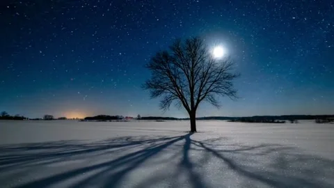 Timelapse of a full moon rising behind a silhouetted tree in a snowy field Stock Footage 315379452