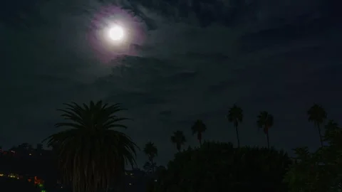 Timelapse of full moon set into sunrise over palm trees in Los Angeles Stock Footage 346725634