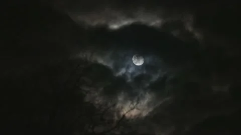Timelapse full moon shining through oak tree branches and clouds at night Stock Footage 168881083