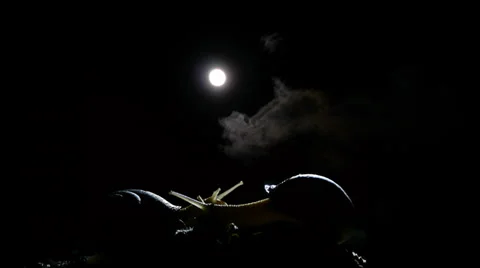 Timelapse full moon snail Stock Footage 36664850