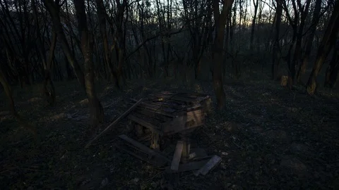 Timelapse of full moon's light moving across forest Stock Footage 105576819