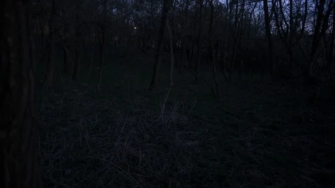 Timelapse of full moon's light moving across forest Stock Footage 105577200