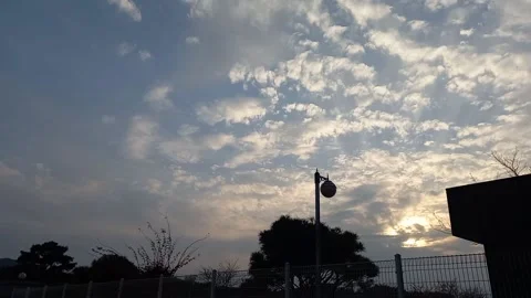 Timelapse of garden lights at sunset, black silhouette of trees Stock Footage 231761665