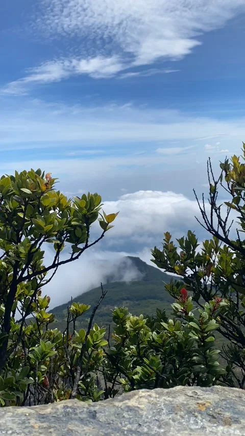 Timelapse of Gede Pangrango Mountain Stock Footage 211611533
