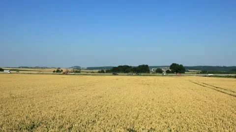 Timelapse - German highway between cornfield Stock Footage 11450733
