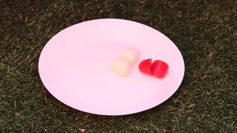 Timelapse. A girl strings cherry tomato and mozzarella balls Stock Footage 243177425