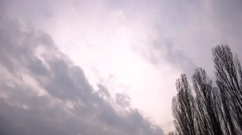 Timelapse with gloomy clouds and trees Stock Footage 62481653