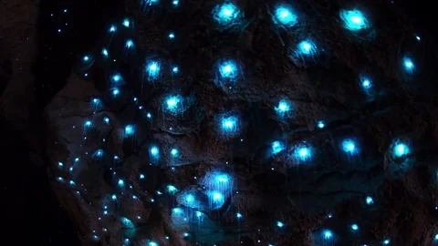 Timelapse of Glow Worms in Cave Vídeo Stock 79783384