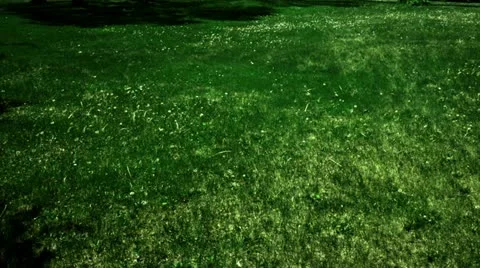 Timelapse grass shadows 스톡 동영상 11558327