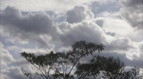 Timelapse gray and white clouds over blue sky without sun Stock Footage 44751670