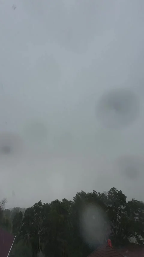 Timelapse of gray clouds and rain, on top of shady green trees Stock Footage 277682129
