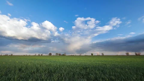 Timelapse green field Stock Footage 128918175