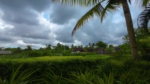 Timelapse of a green garden with rice fields and Balinese traditional house Stock Footage 237852012