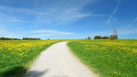 Timelapse of a Green Meadow with a Scenic Path, Capturing the Beauty of Flyin Stock Footage 309184758