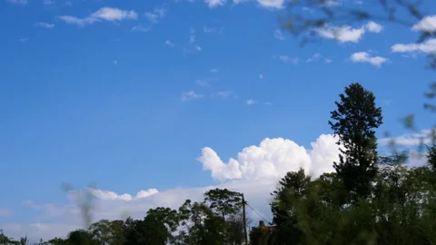 Timelapse of green nature with trees and blue sky with white clouds Stock Footage 258648457
