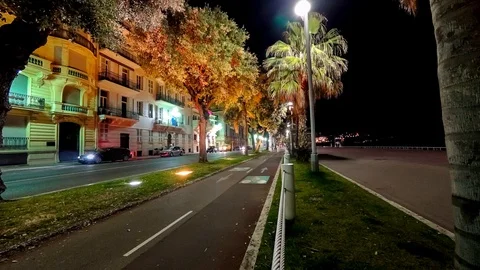 Timelapse of Green Palm Trees at Night in Nice France on promenade Stock Footage 87269657