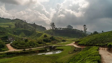 Timelapse of green tea plantations in Munnar, Kerala, India Stock Footage 106377542