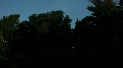 Timelapse Griffith Park trees 스톡 동영상 11587687