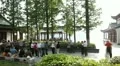 Timelapse Group Senior People Dance Activity Asian Elderly Healthy Sport Nanjing HD Footage