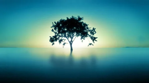 Timelapse of a  growing tree in a blue landscape. Stock Footage 44563405