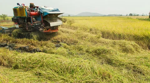Timelapse harvest machine . 動画素材 37690485