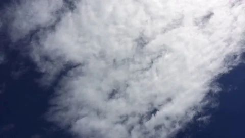 Timelapse Hd: Gazing up into the clouds Video stock 81631260