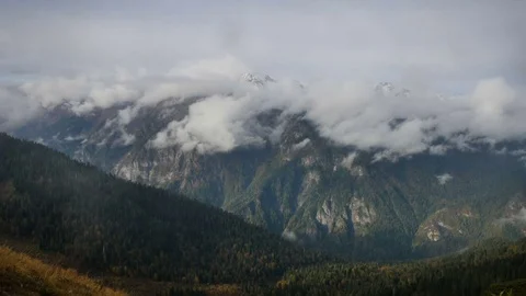 Timelapse of high snowly mountains with clouds and spruce forest Stock Footage 71197194