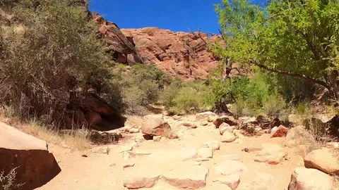 Timelapse of hiking through the desert. Video stock 169545831
