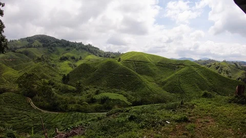 Timelapse of hills covered in grass and cloudy sky background, Cameron Highlands Stock Footage 146550892