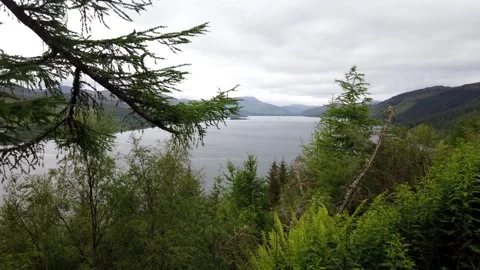 Timelapse from the Hills Stock Footage 245967586