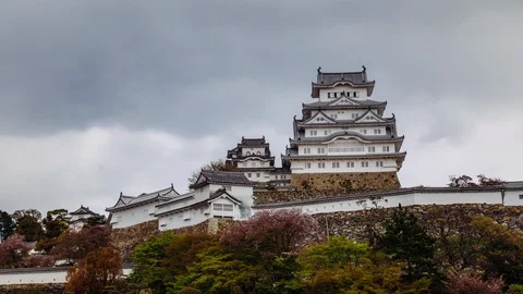 Timelapse of Himeji Castle in the spring (sakura, cherry blossoms) in Japan. Video stock 100605338