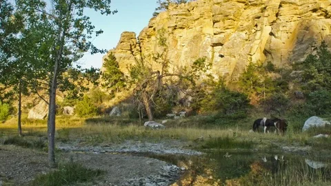 Timelapse of horses grazing in the mountains Stock Footage 81764904