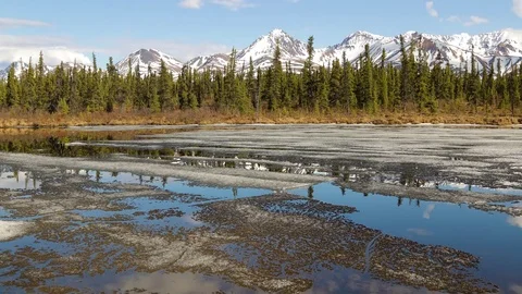Timelapse of ice moving on lake along Denali Highway Video stock 79078537