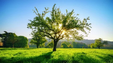 Timelapse of an idyllic rural scene Stock Footage 76364329