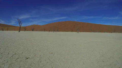 Timelapse inside Deadvlei - Namib Desert Stock Footage 40750252