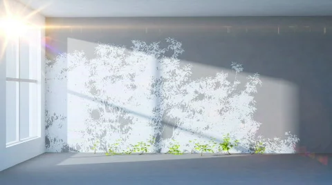 Timelapse ivy grow activity 스톡 동영상 879240