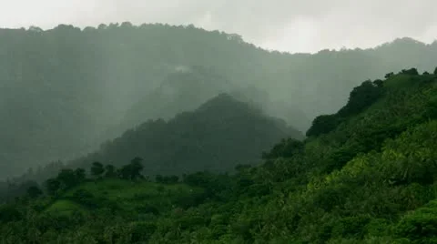 Timelapse jungle rain Vídeo Stock 11558931