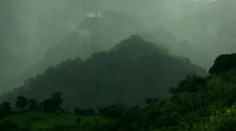 Timelapse jungle rain 库存影片 11607066