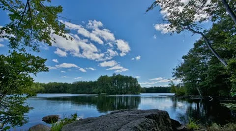 Timelapse of lake and forest landscape on a sunny day Stock Footage 12094768