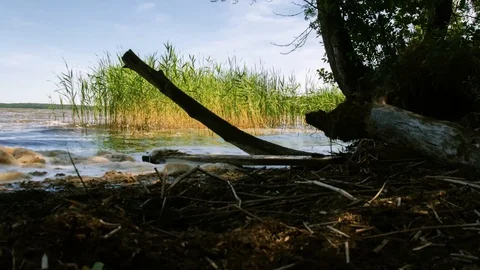 Timelapse of the lake. Fast flying clouds over the water. Stock Footage 114663588