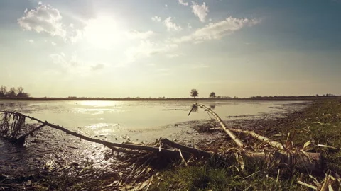 TimeLapse Lake Video stock 97802020