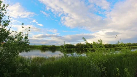 Timelapse lake in lithuania countryside with pristine greenery in spring. 스톡 동영상 154801098